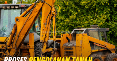 Proses Pengolahan Tanah untuk Perkebunan Kelapa Sawit dan Pertanian agar Hasil Optimal dan Berkelanjutan